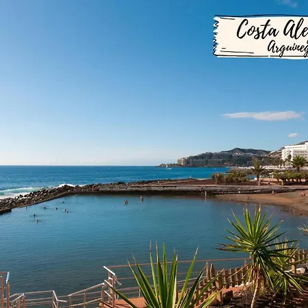 Vakantiehuis Nectarinas By Villagrancanaria *